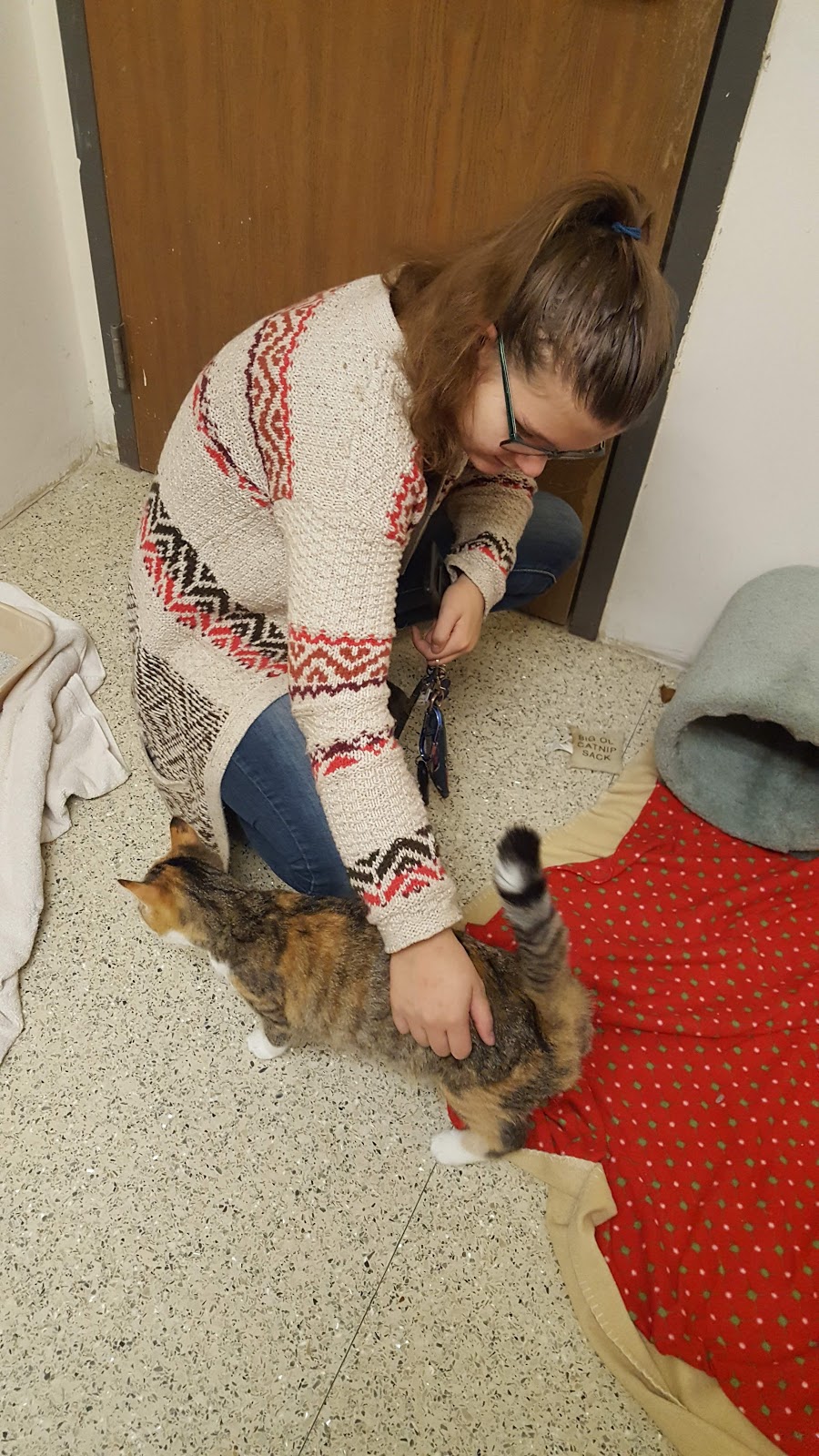 Anchor Bay Veterinary Center | 36755 Green St, New Baltimore, MI 48047, USA | Phone: (586) 725-7700