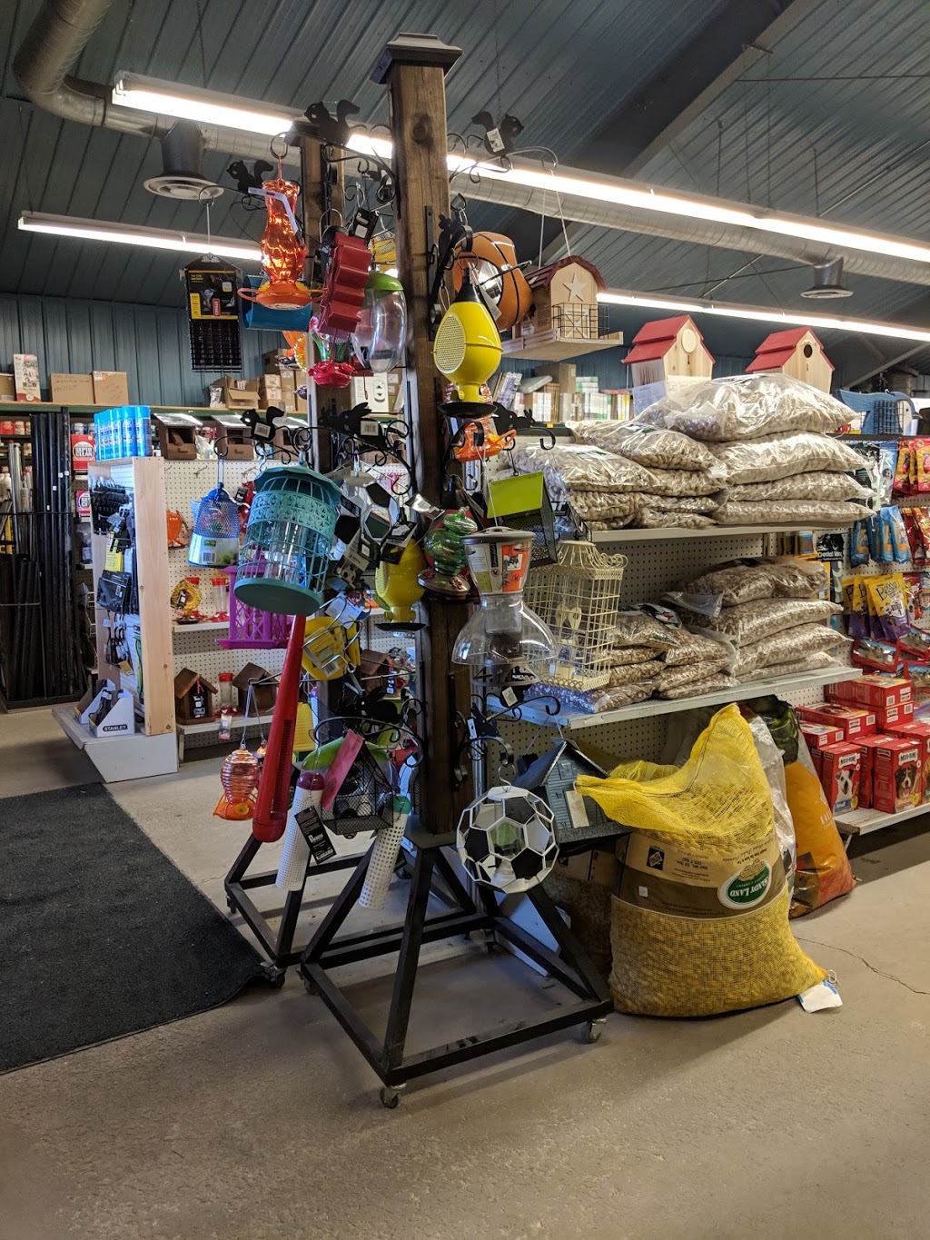 Morrows Of Drumbo | 50 Wilmot N, Drumbo, ON N0J 1G0, Canada | Phone: (519) 463-5332