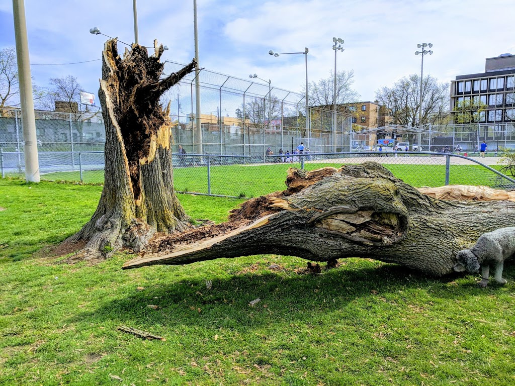 June Rowlands Park | 220 Davisville Ave, Toronto, ON M4S, Canada | Phone: (800) 499-2514
