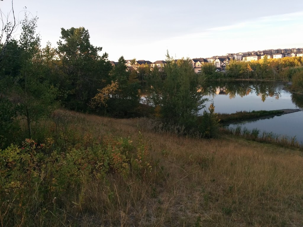 Royal Oak School | 9100 Royal Birch Blvd NW, Calgary, AB T3G 5R8, Canada | Phone: (403) 777-6279