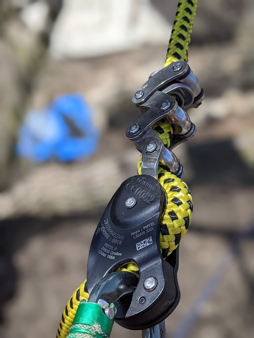Ascents Tree | 24 Sultan St, Guelph, ON N1H 2W1, Canada | Phone: (226) 500-5206