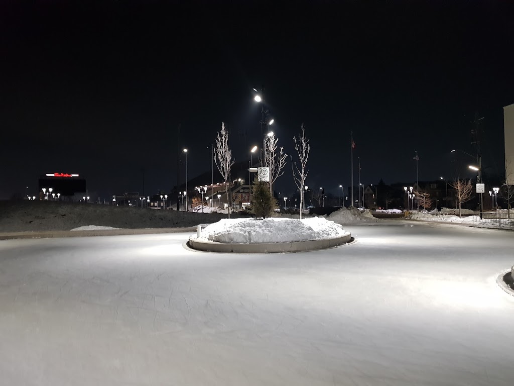 Serafini Family Ice Pad (at Bernie Morelli Recreation Centre) | 876 Cannon St E, Hamilton, ON L8L 0C6, Canada | Phone: (905) 546-3747