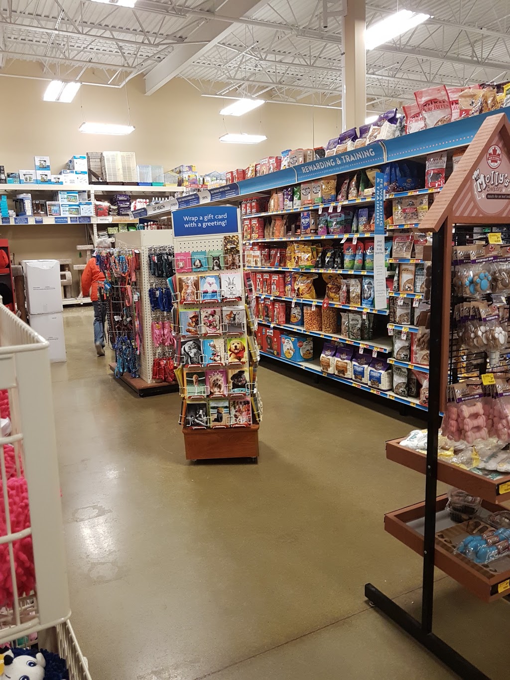 PetSmart | 65 Countryview Dr, Dartmouth, NS B3B 0G4, Canada | Phone: (902) 468-0890