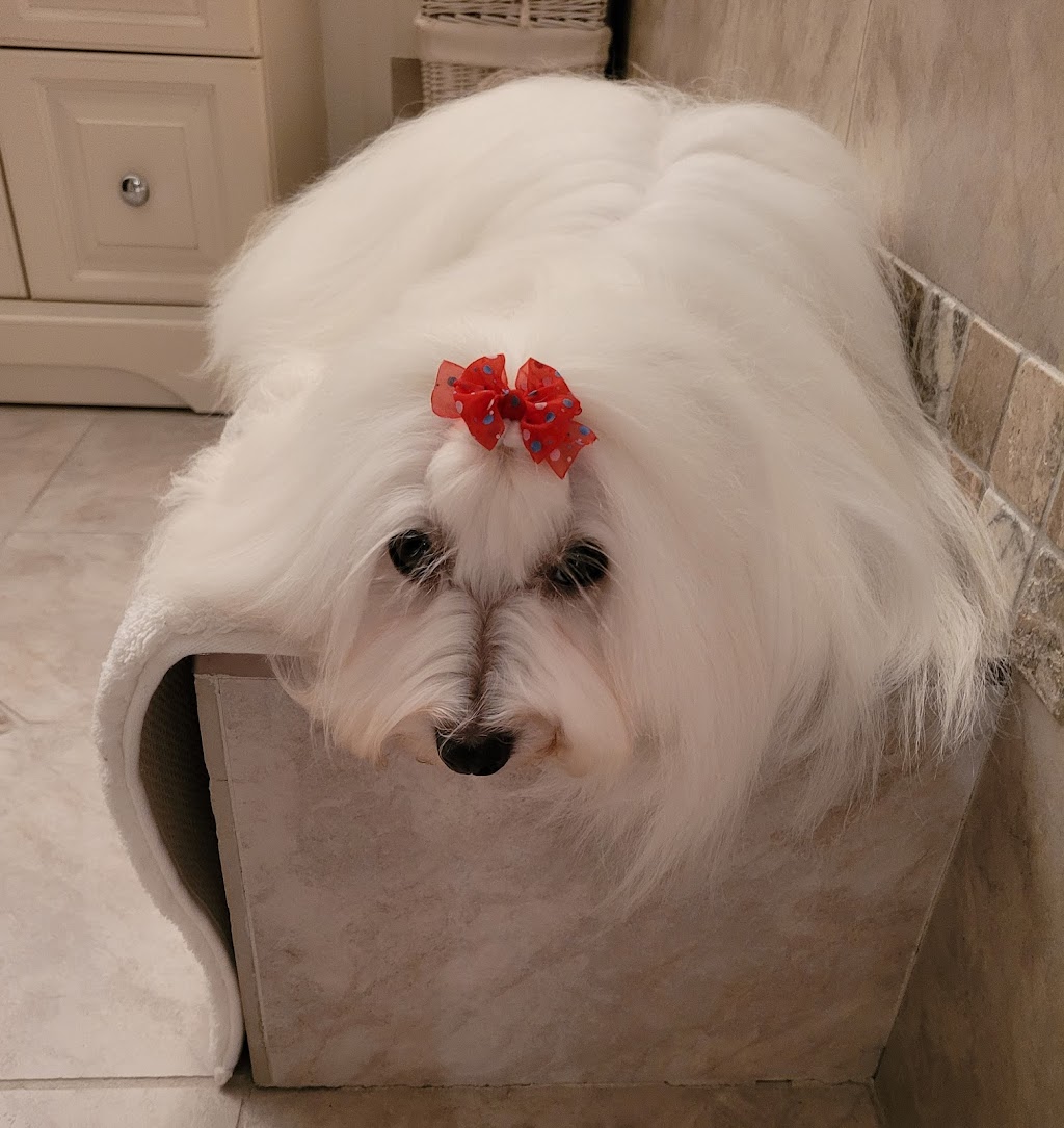 Coton Sublime | #0, Saint-Colomban, QC J5K 2R7, Canada | Phone: (514) 424-8839
