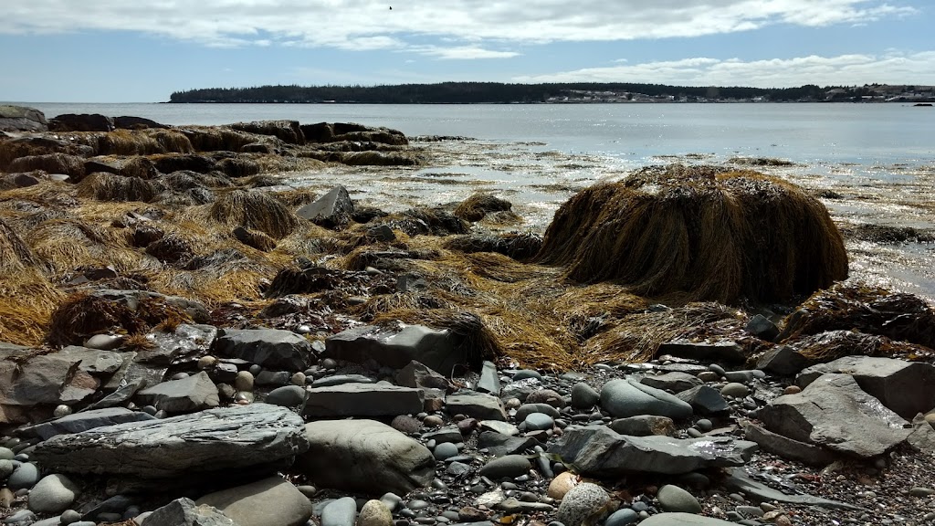 Tancook Island Recreational Centre | 39 School Rd, Tancook Island, NS B0J 3G0, Canada | Phone: (902) 228-2927