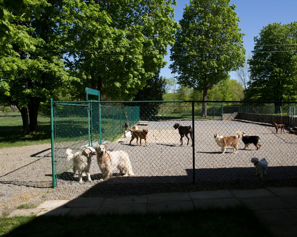 Marthas Menagerie | 3947 Alton Rd W, Harrowsmith, ON K0H 1V0, Canada | Phone: (613) 541-9393