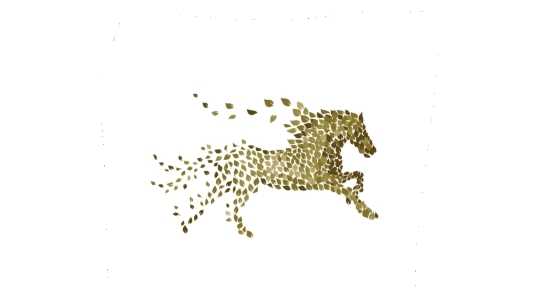 Whispering Horse Winery | 43721 Vedder Mountain Rd, Chilliwack, BC V2R 4C5, Canada | Phone: (604) 245-0443