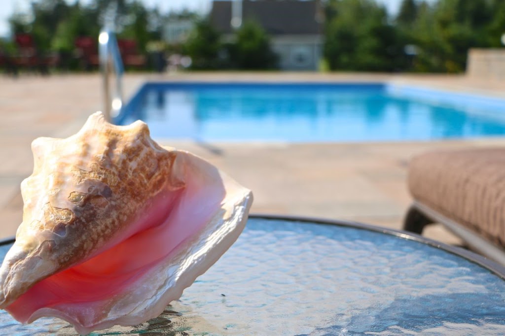 Central Pool and Spa | 1804 Peters Rd, Montague, PE C0A 1R0, Canada | Phone: (877) 962-3510