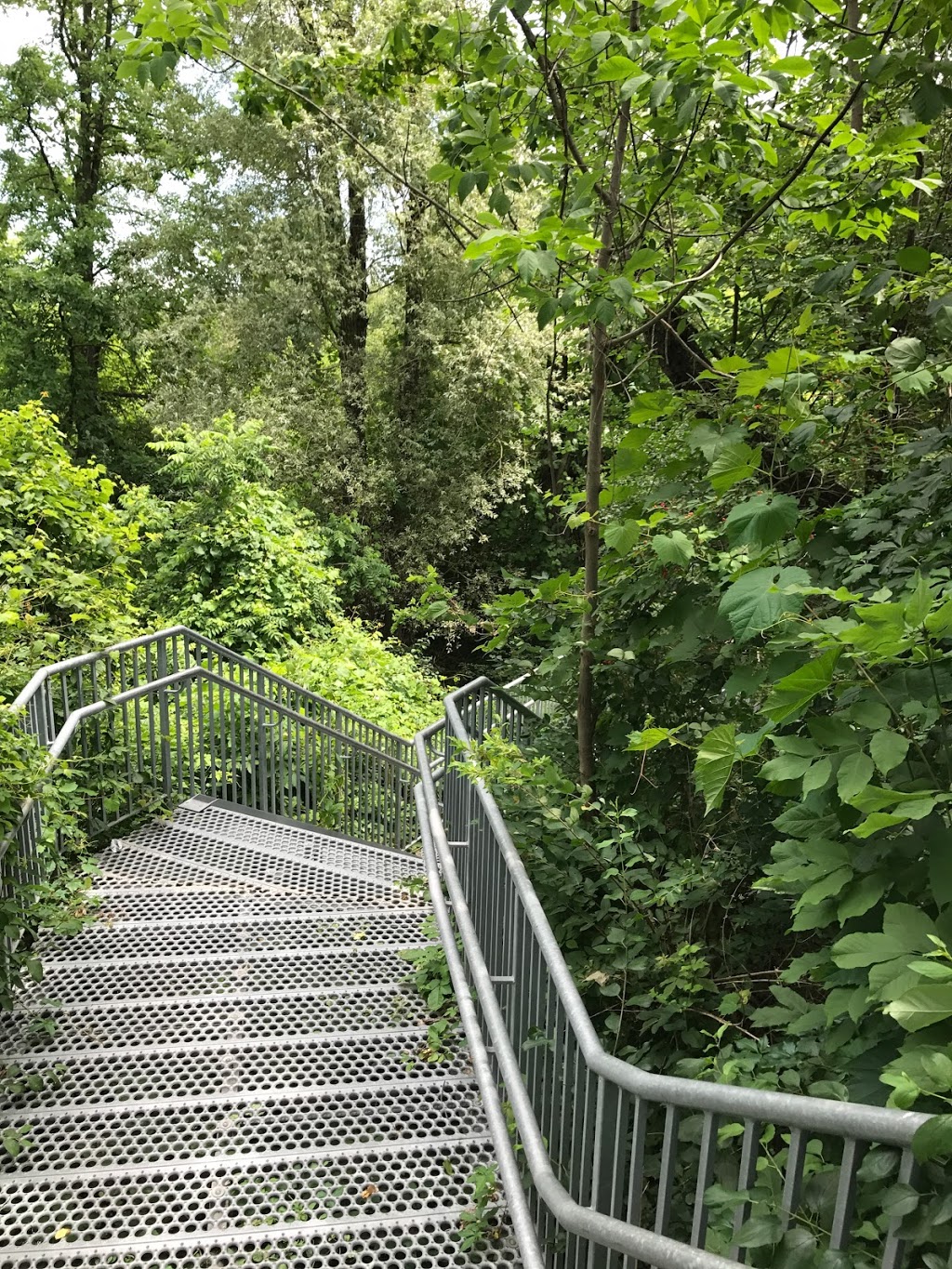 Missinhe Park | 7225 Waldorf Way, Mississauga, ON L5N 7P8, Canada