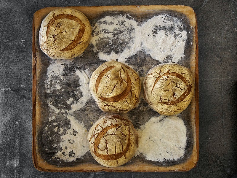 Pane Vittoria | 13305 ON-27, Nobleton, ON L0G 1N0, Canada | Phone: (905) 265-1438