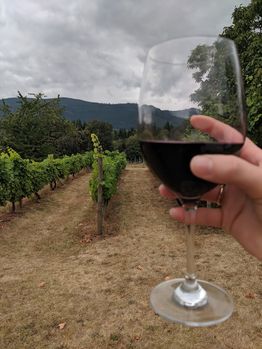 Zanatta Winery | 5039 Marshall Rd, Duncan, BC V9L 6S3, Canada | Phone: (250) 748-2338