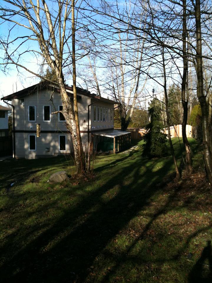 Cat Utopia | 7424 185 St, Surrey, BC V4N 6C2, Canada | Phone: (778) 571-1024