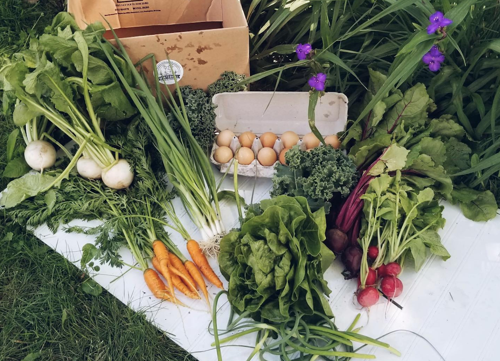 Winterhill Farm & Garden | 5807 Fourth Line, Guelph/Eramosa, ON N0B 2K0, Canada | Phone: (519) 215-3191