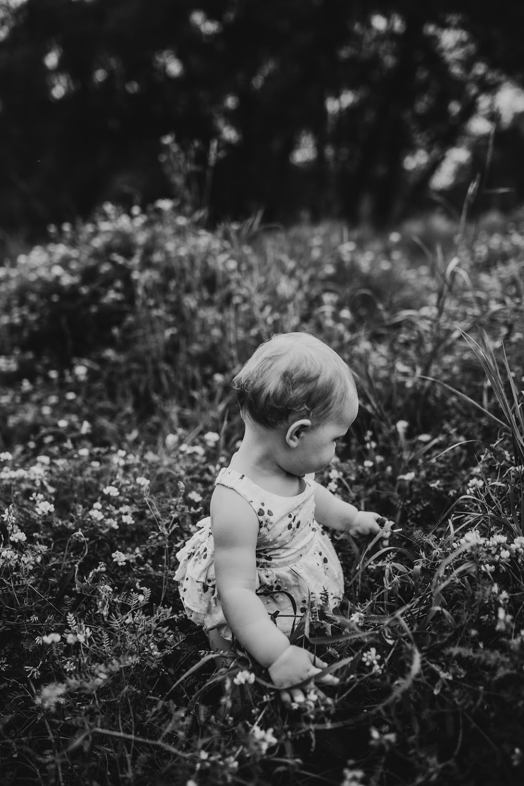 Theresa Morphy Photography Ontario Newborn & Family Photographer, Kitchener Waterloo | 1750 Tye Rd, New Hamburg, ON N3A 4K5, Canada | Phone: (519) 465-0590