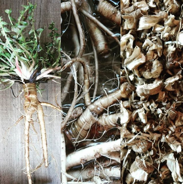 Floreren Farm | 221788 Concession Rd 14, Neustadt, ON N0G 2M0, Canada | Phone: (519) 760-0453