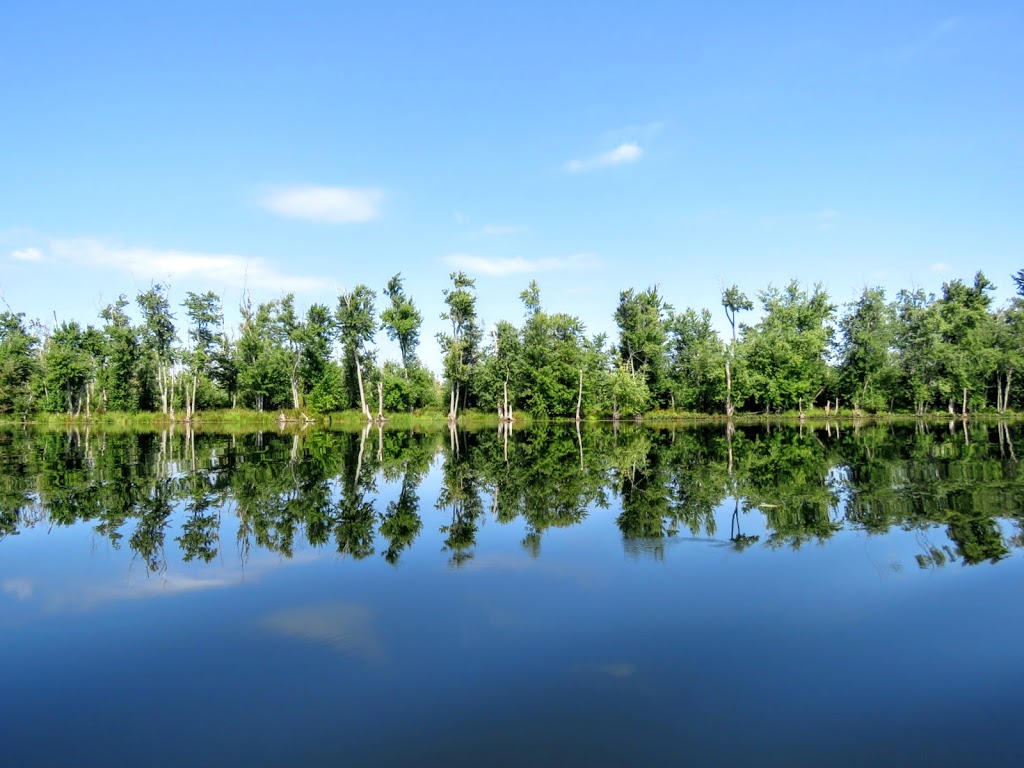 Appleton Bay Park | 510 River Rd, Almonte, ON K0A 1A0, Canada