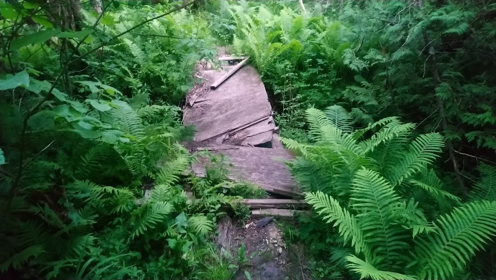 Sylvan Glen Conservation Area | Sylvanglen Rd, Port Hope, ON L1A 3V5, Canada | Phone: (905) 885-8173