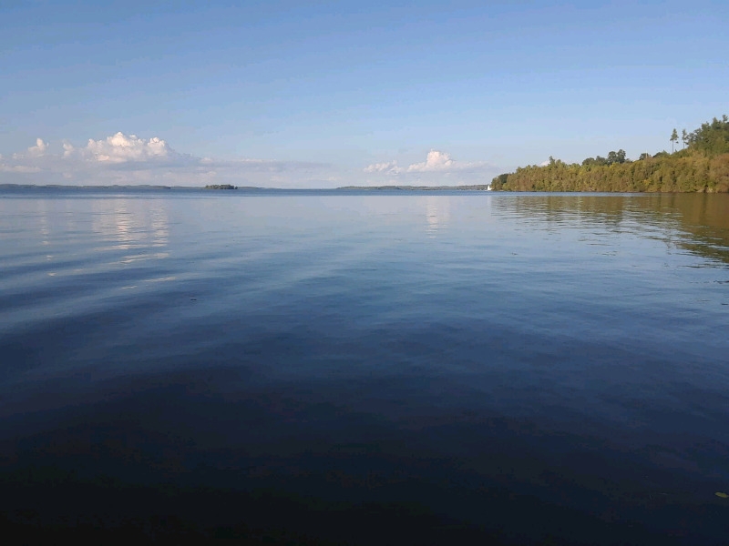 The Old Burrison Homestead | 5684 Rice Lake Scenic Dr, Gores Landing, ON K0K 2E0, Canada | Phone: (289) 251-5615