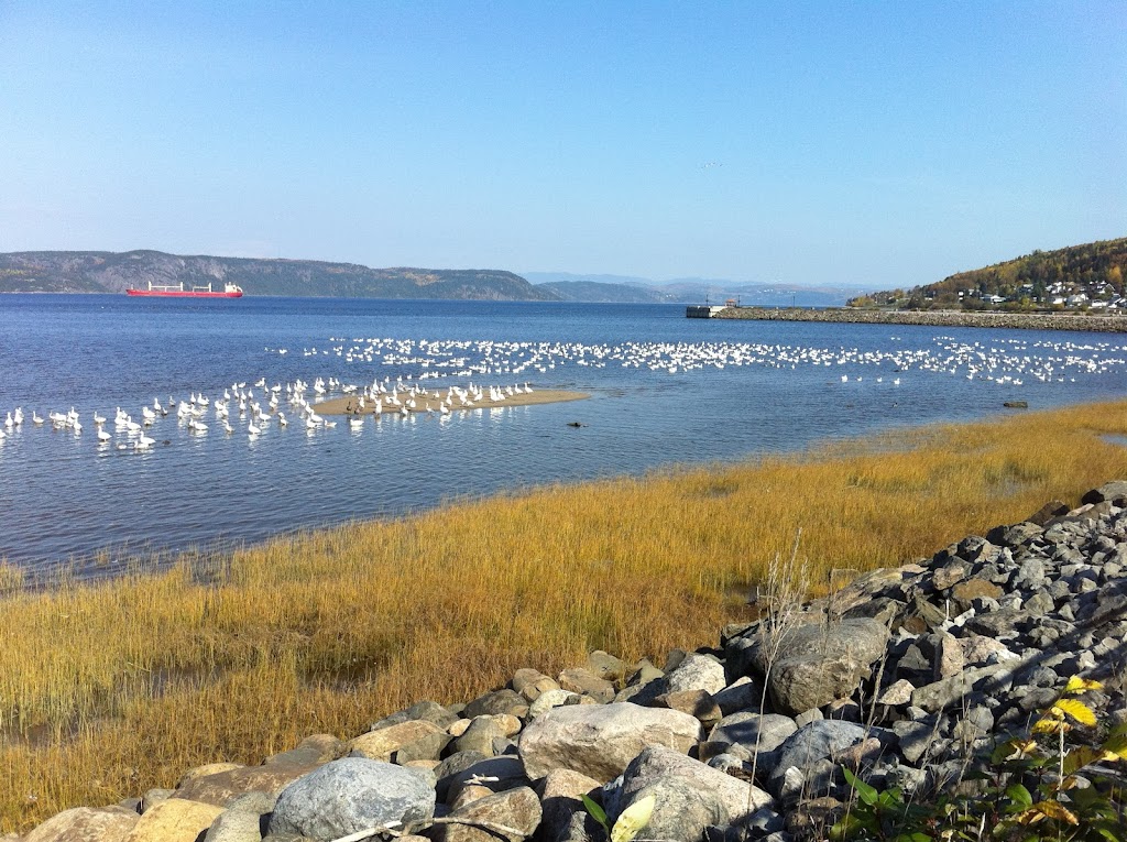 Auberge Presbytère St-Alexis | 5 Bd de la Grande-Baie-Sud #3289, La Baie, QC G7B 1G1, Canada | Phone: (418) 557-6665