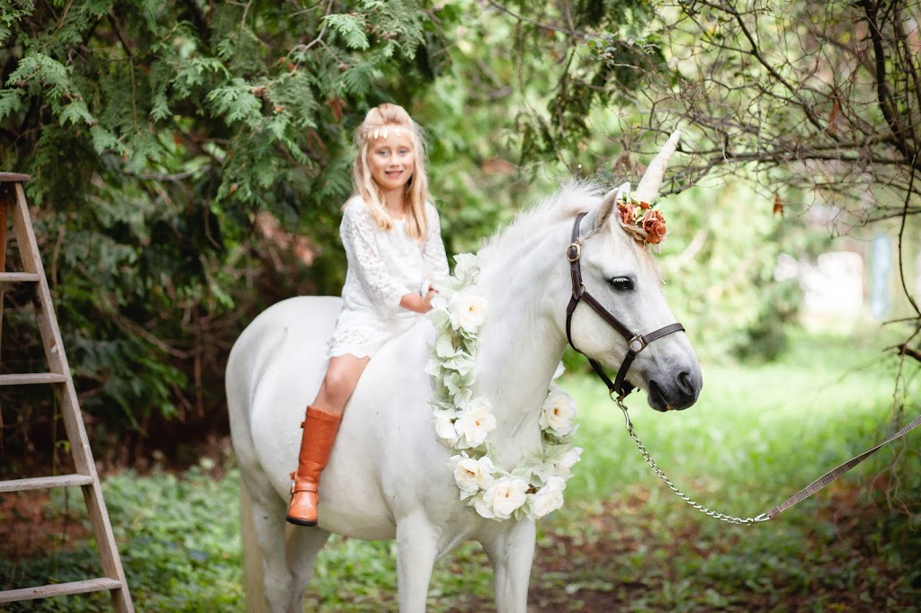 Amy D Photography | 960 Lockhart Rd, Barrie, ON L9J 0B5, Canada | Phone: (705) 321-2803