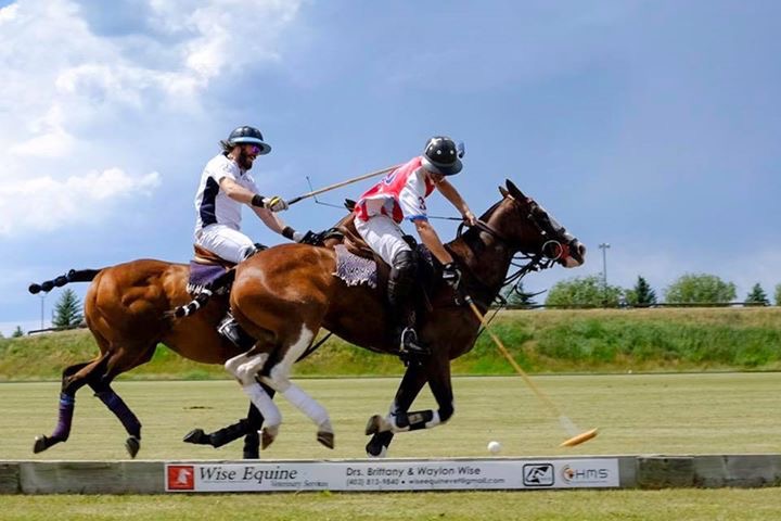 Calgary Polo Club | 24041 306 Ave W, Okotoks, AB T1S 1A2, Canada | Phone: (403) 938-0182