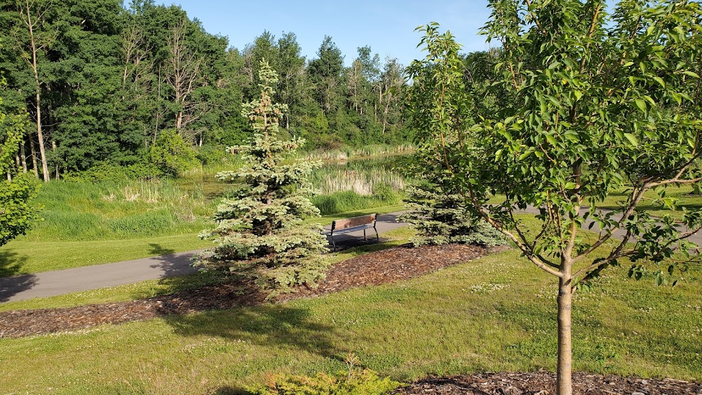Tutty Pond Park | Blackfalds, AB T0M 0J0, Canada | Phone: (403) 885-4677