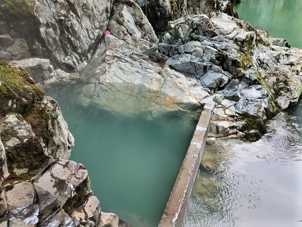 Pitt River Hot Springs | Pitt-Buklin FSR, Fraser Valley F, BC V2X 0W5, Canada | Phone: (778) 939-3169