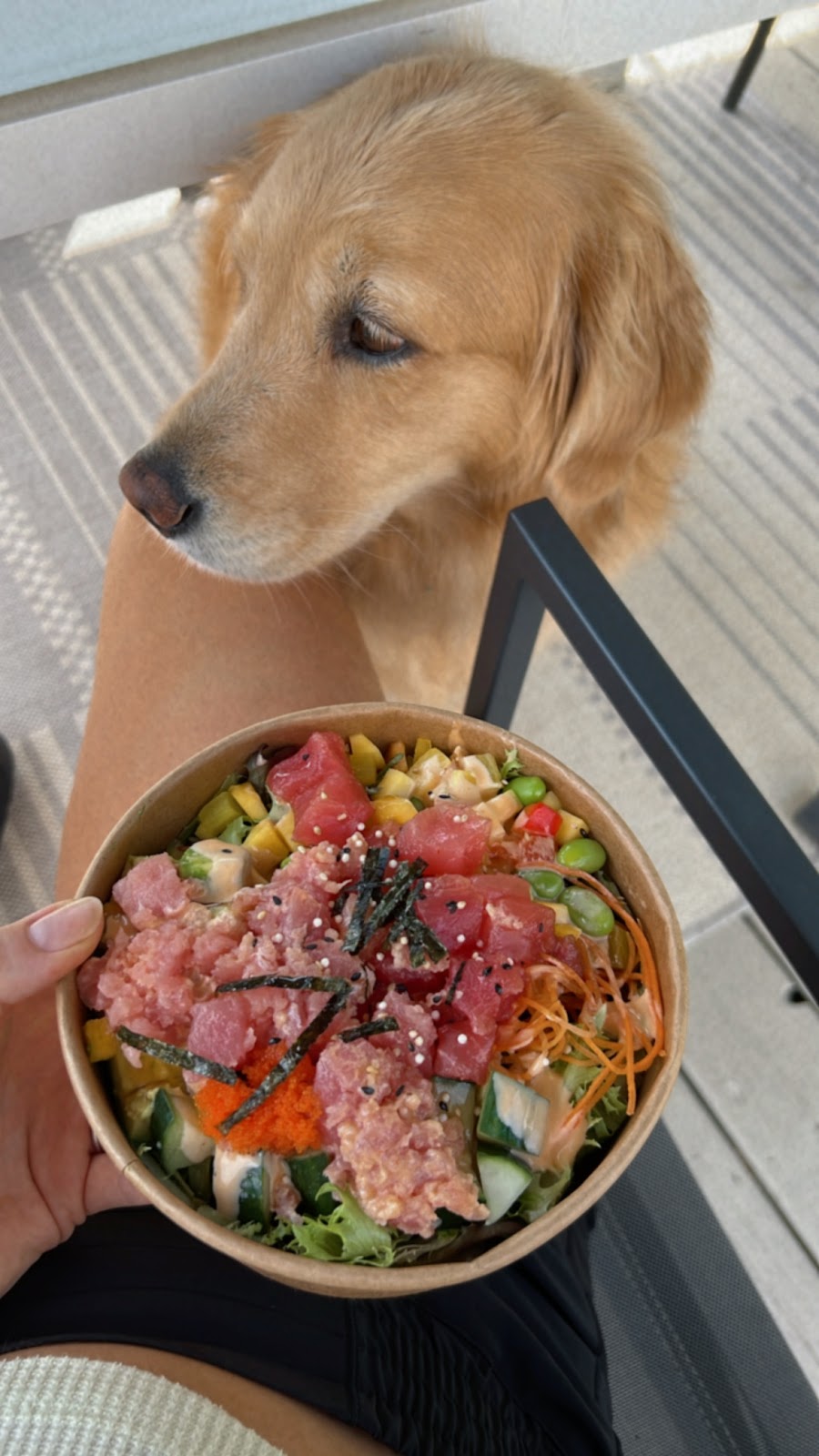 Le Poké Station (St-Bruno) | 1388 Rue de Montarville, Saint-Bruno-de-Montarville, QC J3V 3T5, Canada | Phone: (450) 653-1888