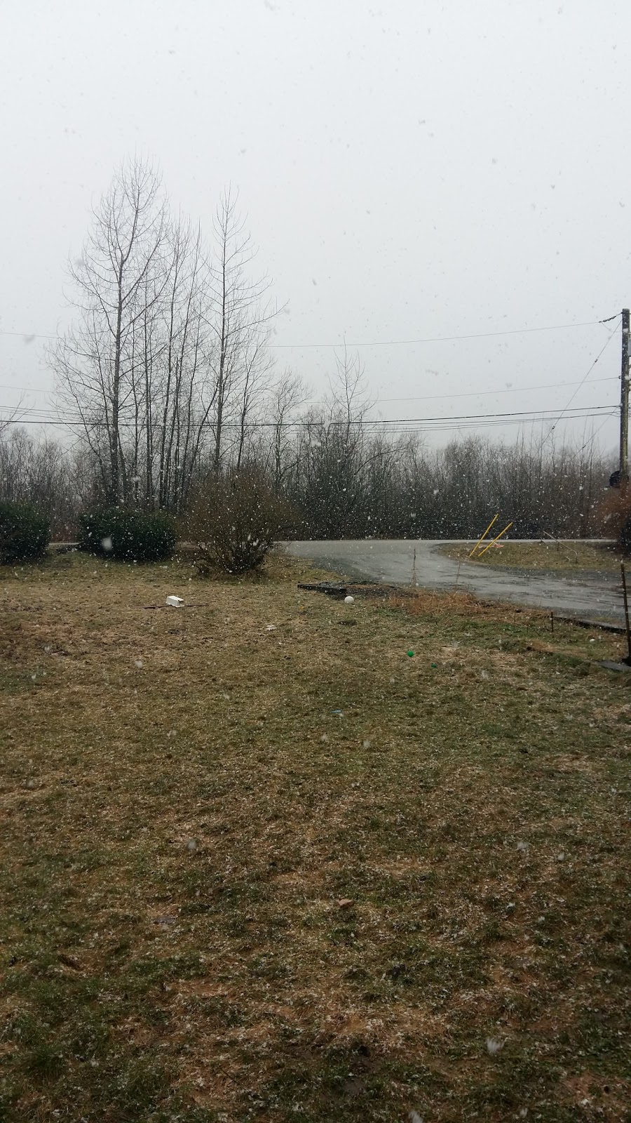 Kwantlen First Nation | 23690 Gabriel Ln, Langley City, BC V1M 2R4, Canada | Phone: (604) 888-2488