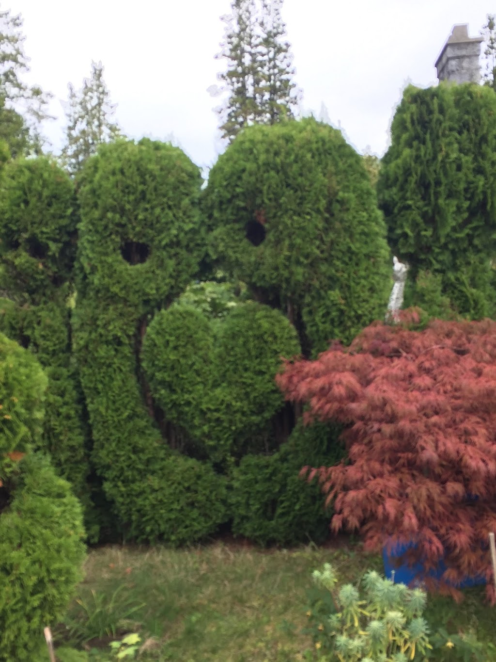 Maple Guesthouse | 1182 W King Edward Ave, Vancouver, BC V6H 1Z6, Canada | Phone: (604) 771-4911