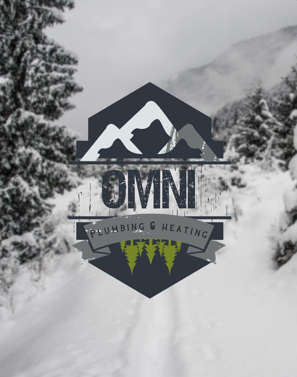 Omni plumbing and heating | 7495 Columbia Ave, Radium Hot Springs, BC V0A 1M0, Canada | Phone: (250) 202-5413