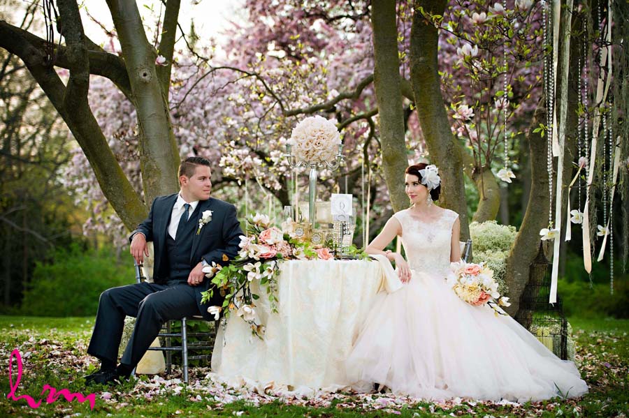 HRM Photography | 585 Dufferin Ave, London, ON N6B 2A5, Canada | Phone: (519) 936-8977