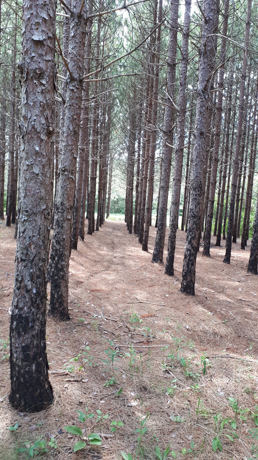 SAQMAQ park and walking trail | 964 Robinson Rd #932, Shubenacadie, NS B0N 2H0, Canada | Phone: (902) 236-2171