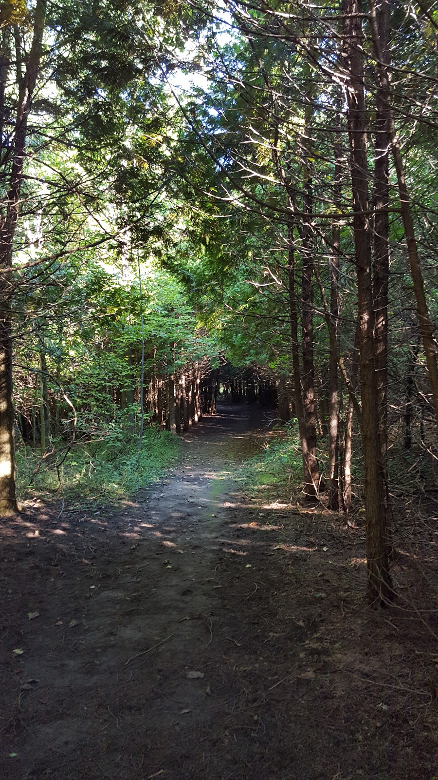 Wawanosh Valley Conservation Education Centre | 38854 Nature Centre, Blyth, ON N0M 1H0, Canada | Phone: (519) 523-4788