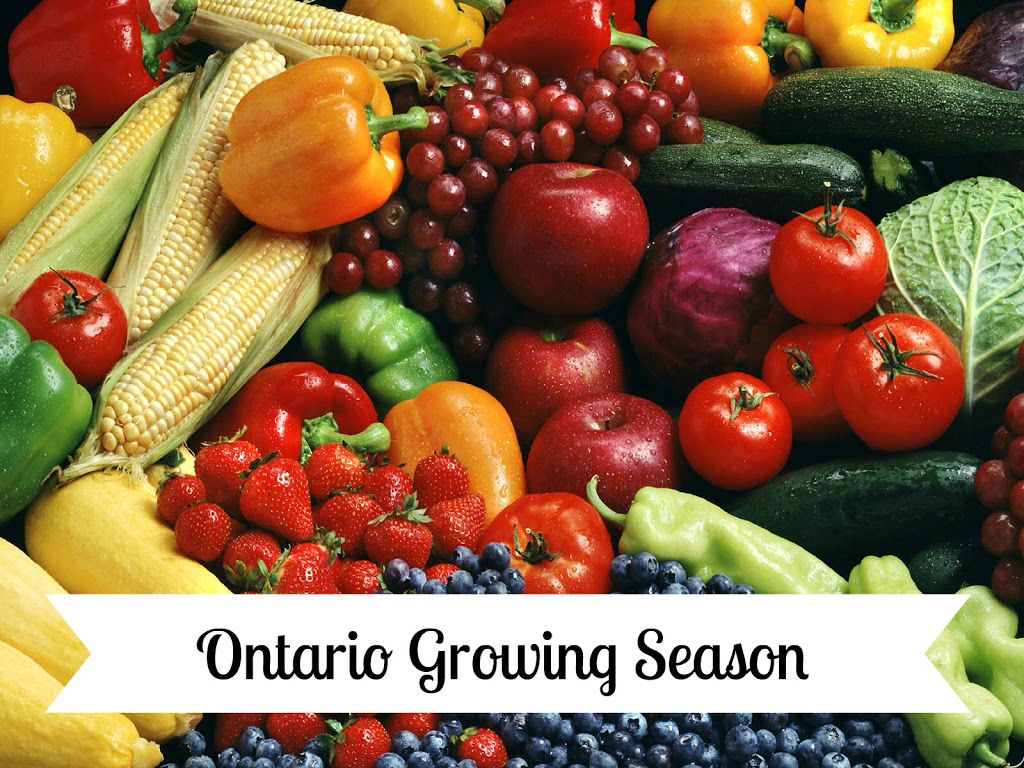 Country Crops | 9478 Wellington Rd 124, Erin, ON N0B 1T0, Canada | Phone: (519) 833-2084