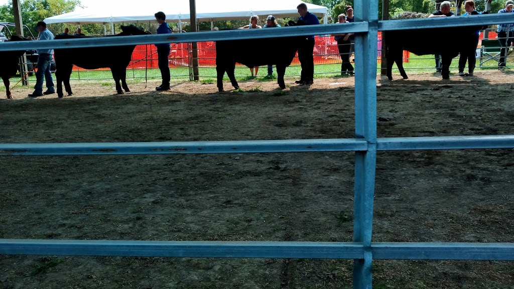 Wyoming Fair Grounds | 595 Main St, Wyoming, ON N0N 1T0, Canada | Phone: (519) 845-3291