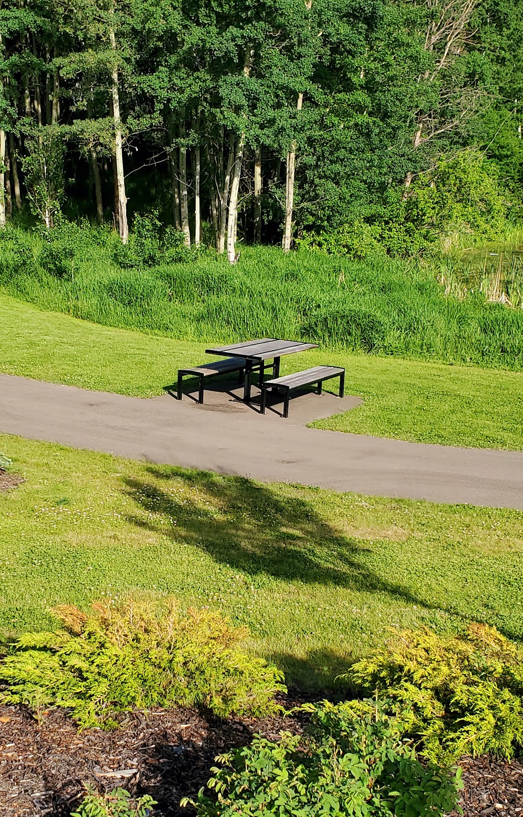 Tutty Pond Park | Blackfalds, AB T0M 0J0, Canada | Phone: (403) 885-4677
