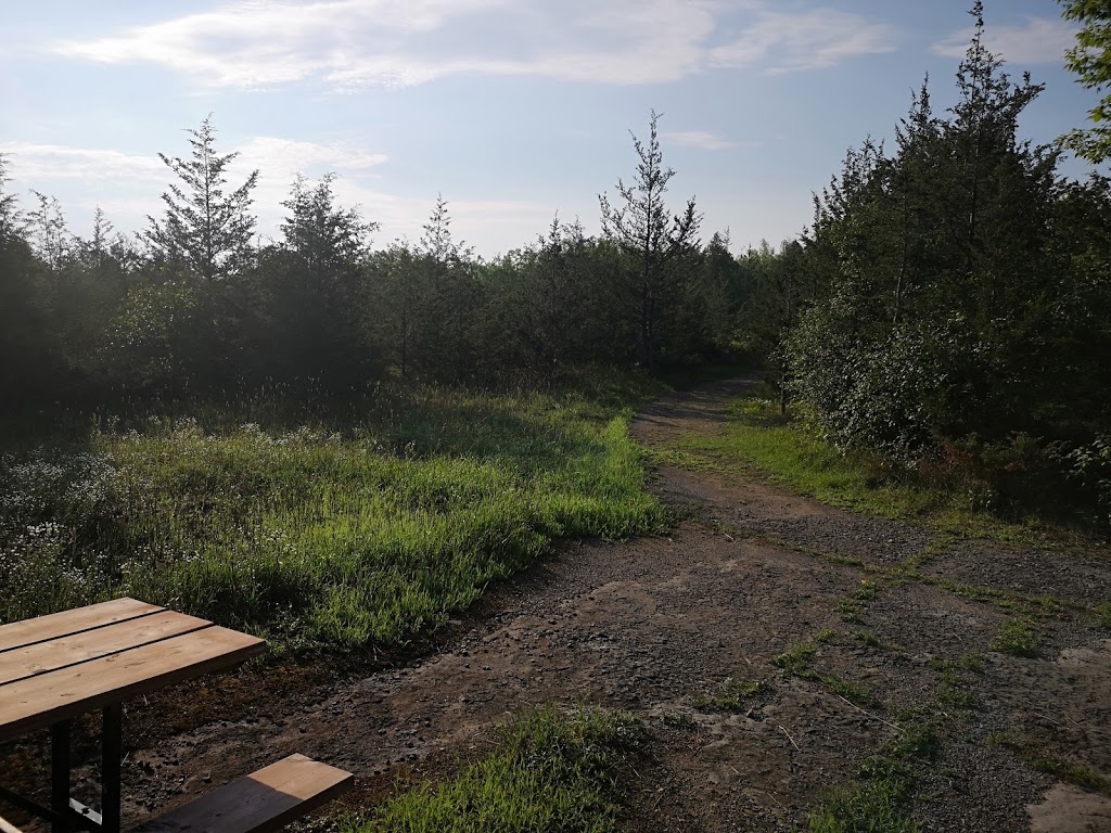 Menzel Centennial Provincial Nature Reserve | Roblin, ON K0K 2W0, Canada | Phone: (613) 335-2814