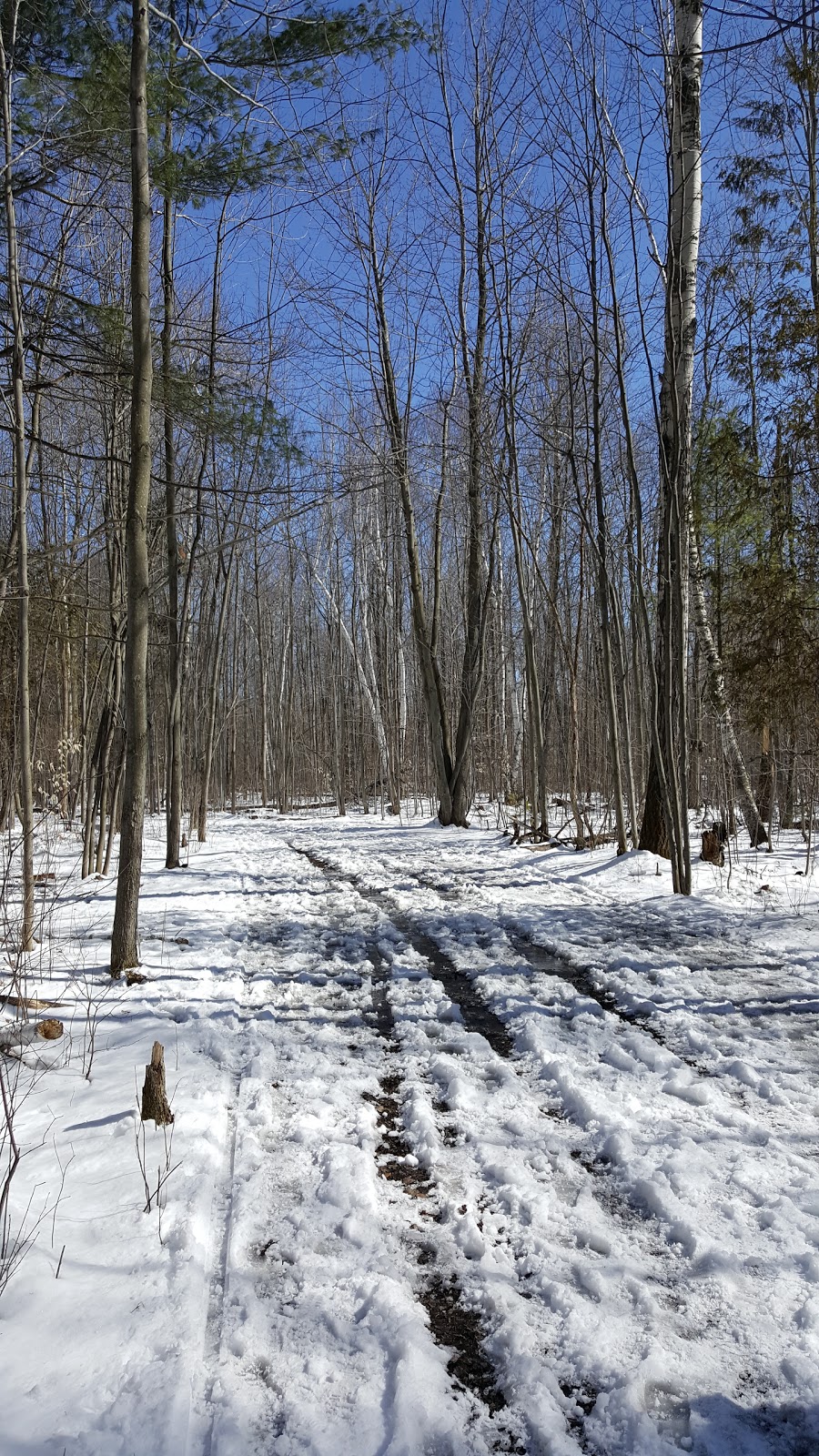 NCC Greenbelt P20 | 2617 Anderson Rd, Orléans, ON K1A 0E7, Canada