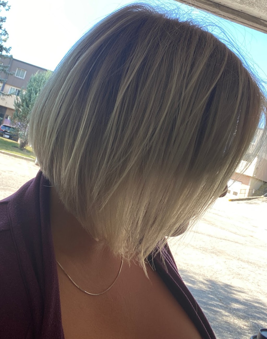 Salon Sarasota / Hair Studio | 48 Queen St E #3, Cambridge, ON N3C 2A8, Canada | Phone: (519) 267-7888