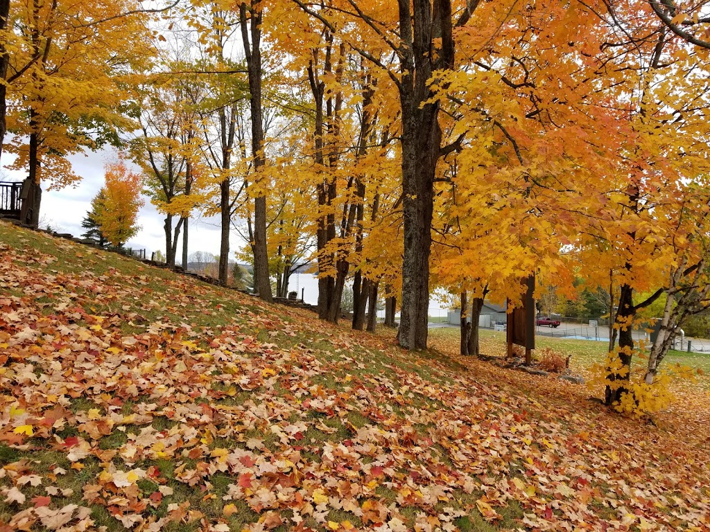 Hidden Valley Highlands Ski Area and Muskoka Ski Club | 1655 Hidden Valley Rd, Huntsville, ON P1H 1A4, Canada | Phone: (705) 789-1773