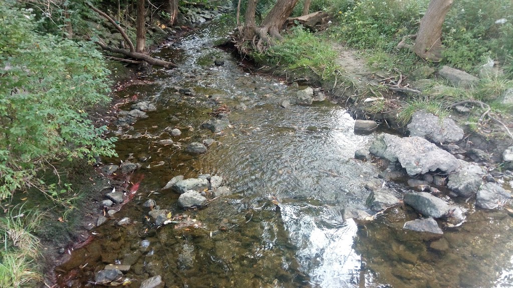 Black Creek Parkland | 1650 Finch Ave W, North York, ON M3N 2S3, Canada | Phone: (416) 338-4386