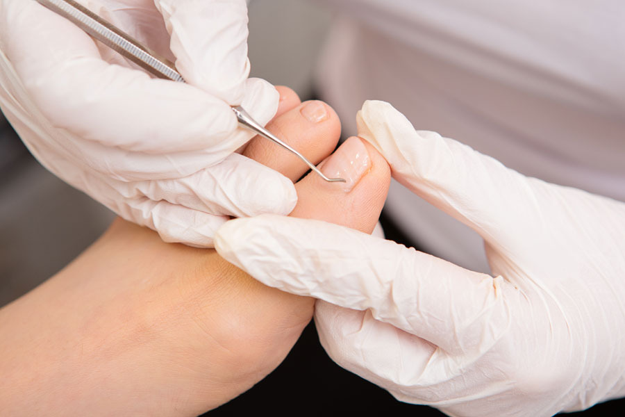 Ô 5 sens santé | 1420 Rue Legendre E # 02, Montréal, QC H2M 1H5, Canada | Phone: (514) 385-1010