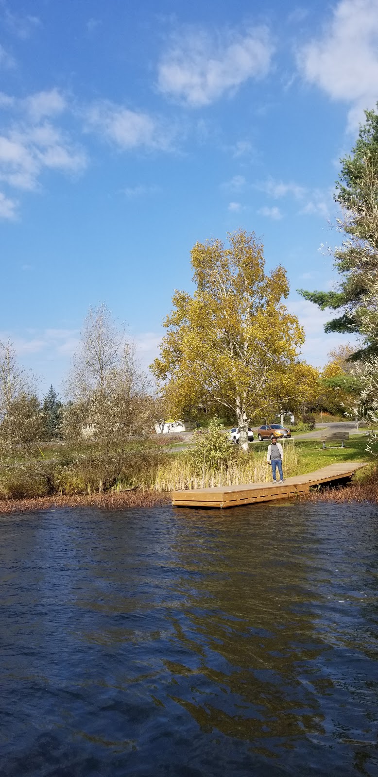 Minerva Park | Hwy 124, McKellar, ON P0G 1C0, Canada | Phone: (705) 389-2842