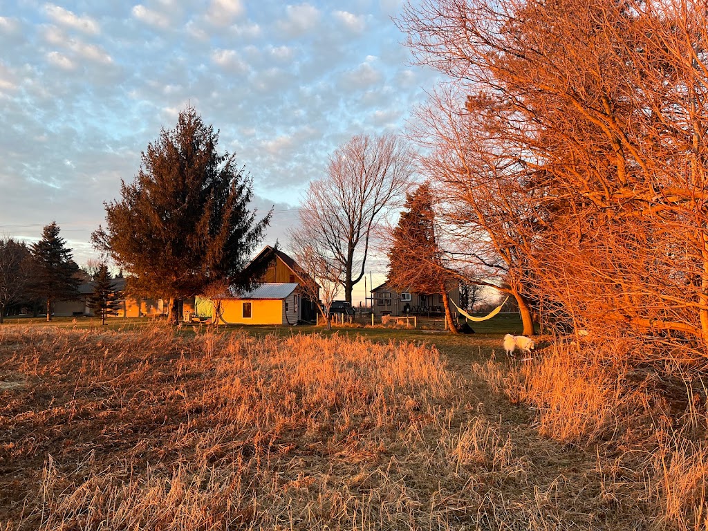 Garden House Recording | 336 Main Street of Courtland, Courtland, ON N0J 1E0, Canada | Phone: (289) 303-7124