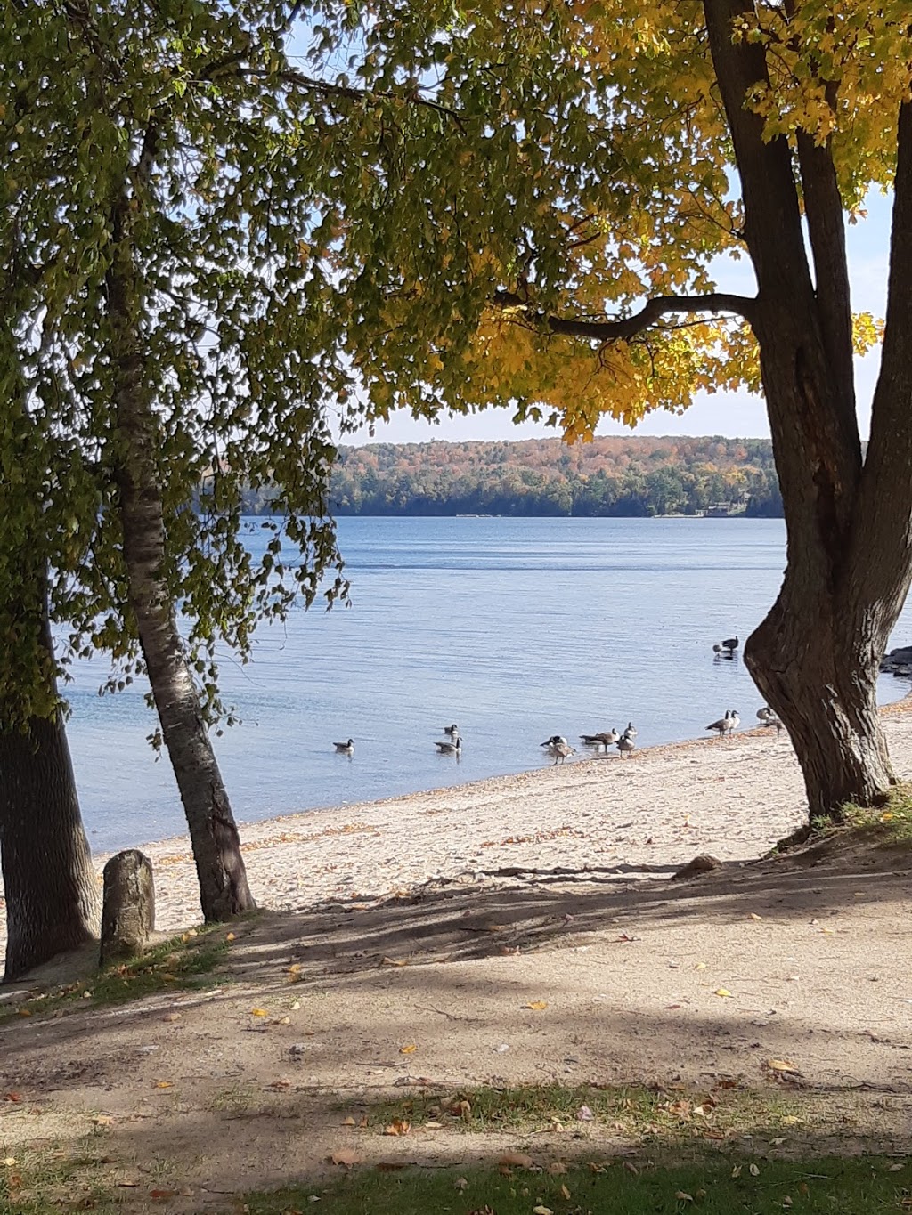 Tyndale Beach | 45 Tyndale Rd, Barrie, ON L4N 7T1, Canada | Phone: (705) 726-4242