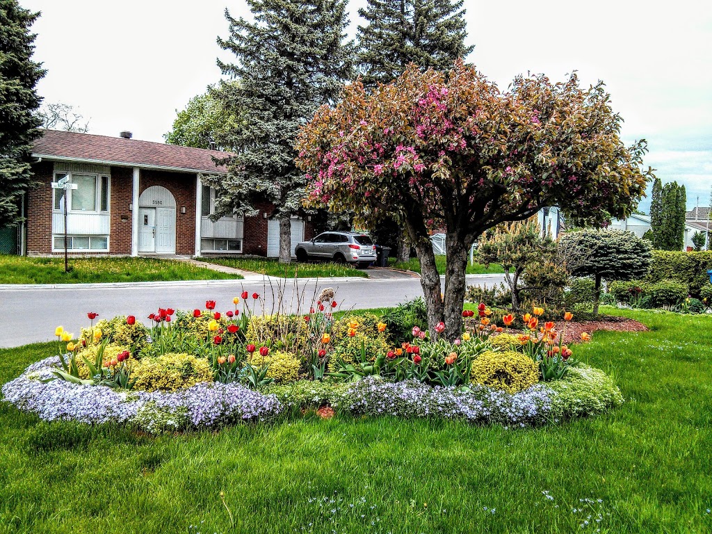 Parc Boisjoli | 5250 Terrasse Boisjoli, Saint-Hubert, QC J3Y 5Z1, Canada