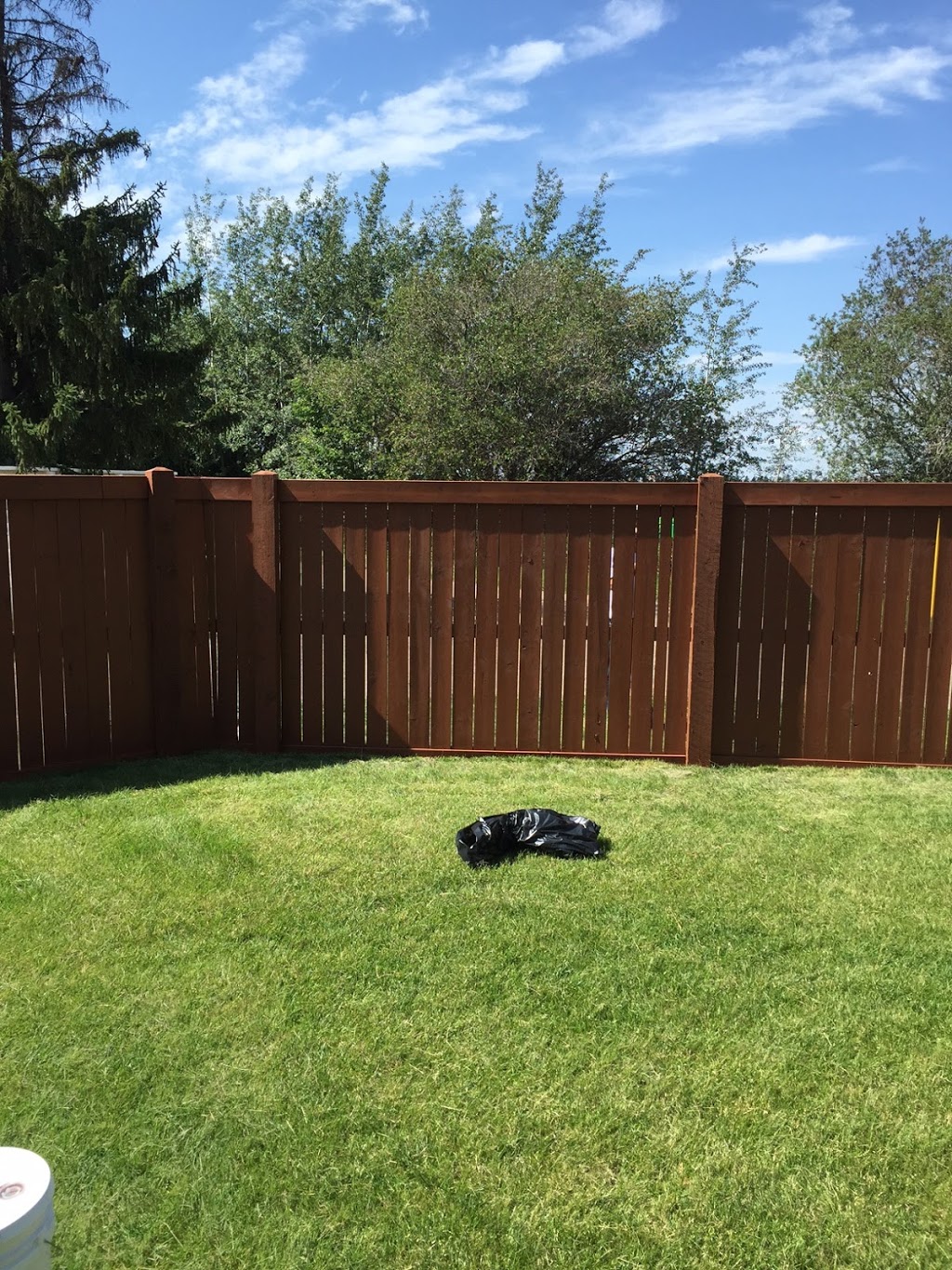 Repaint Professionals Ltd | 455 Ormsby Rd W Northwest, Edmonton, AB T5T 6B1, Canada | Phone: (780) 444-1733