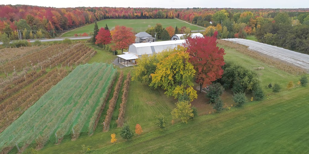 Vignoble Terre des Passions | 1218 QC-161, Saint-Valère, QC G0P 1M0, Canada | Phone: (418) 815-7572