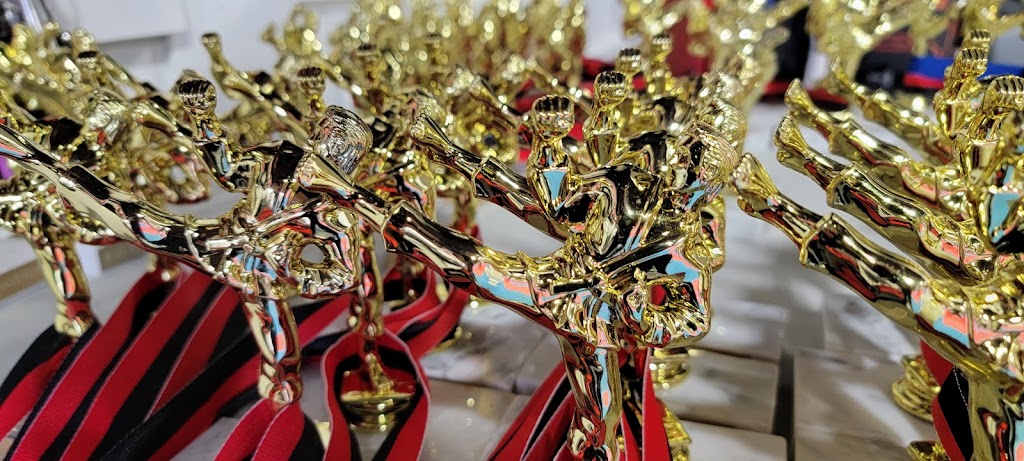 Black Belt Institute | 75 Carl Hall Rd #1001A, Toronto, ON M3K 2B9, Canada | Phone: (647) 952-1495